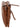 WOUWOU Abendtasche Damen | echt Leder
